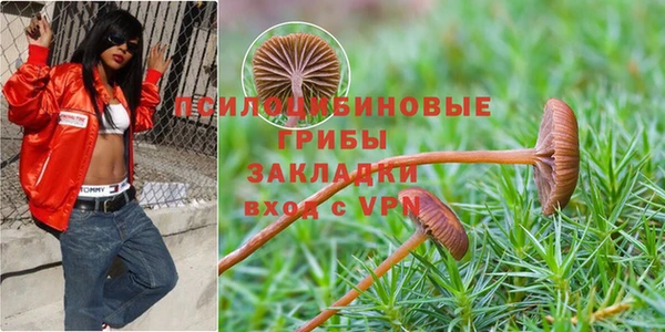 ECSTASY Балабаново
